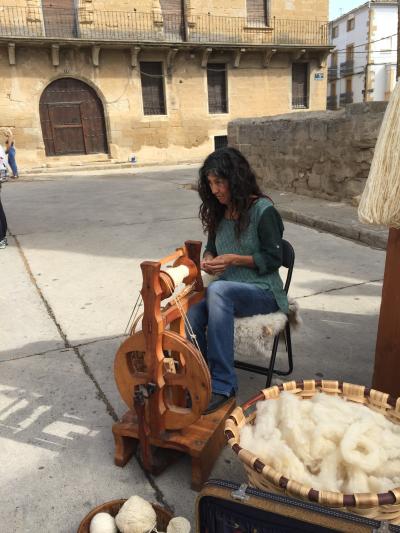 Transhumance in Bardenas Reales